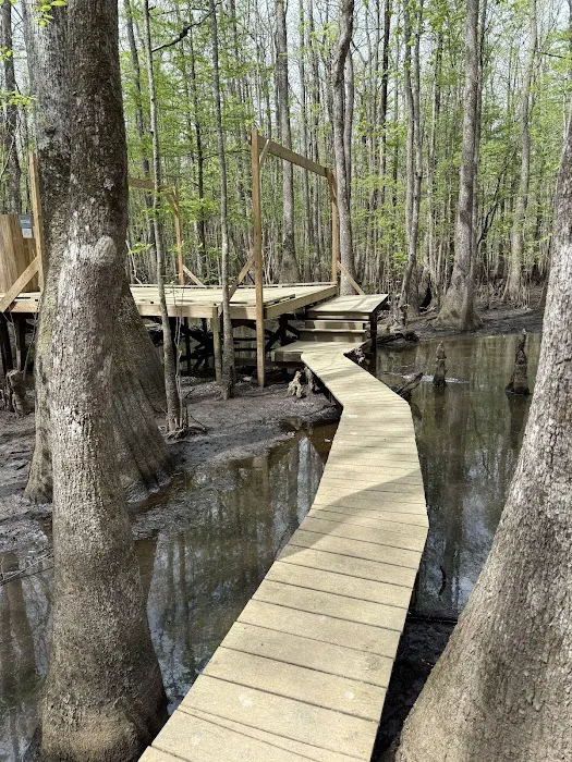 Beaver Lodge and Beaver Tail 3