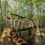 Beaver Lodge and Beaver Tail