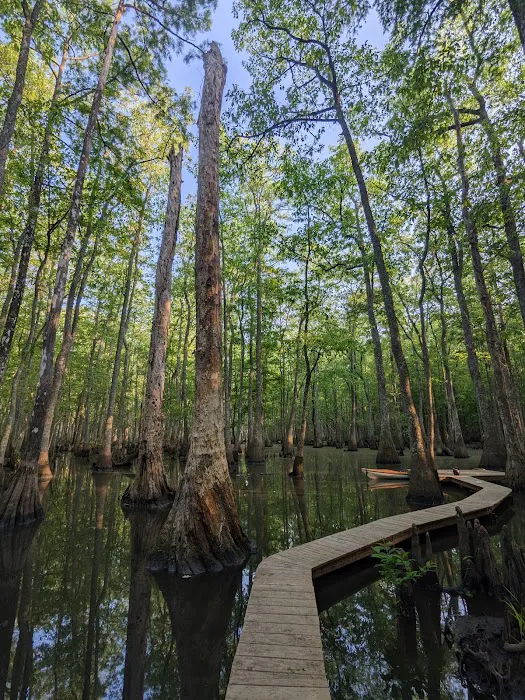 Beaver Lodge and Beaver Tail 8