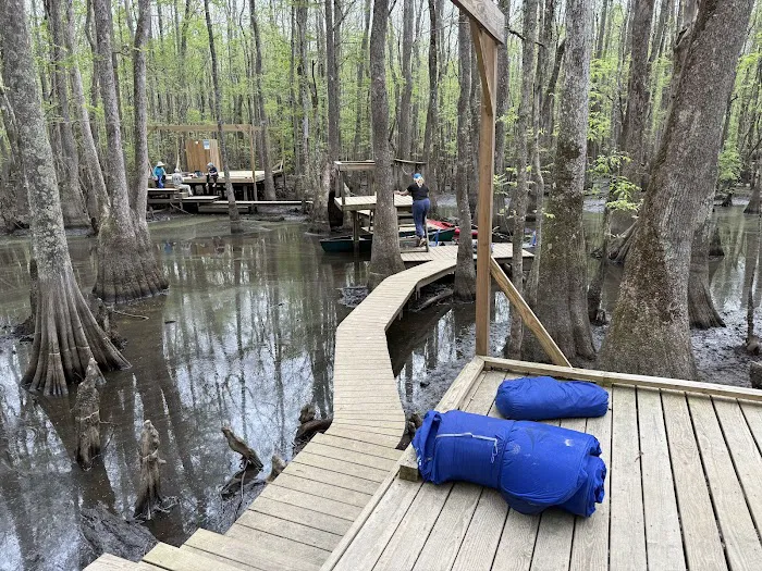 Beaver Lodge and Beaver Tail 10