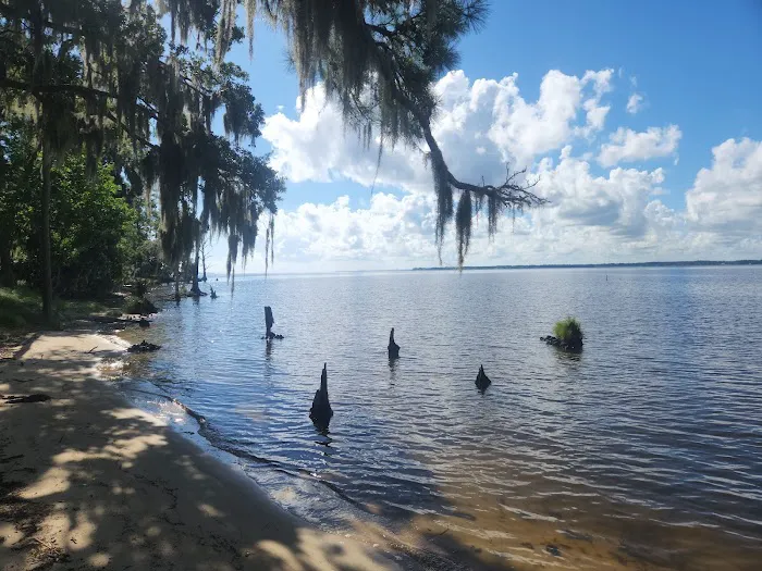 Goose Creek State Park Tent Campground 4