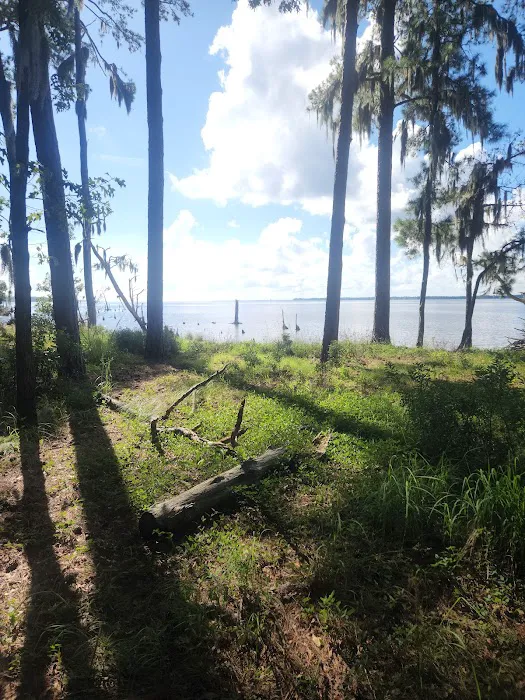 Goose Creek State Park Tent Campground 7