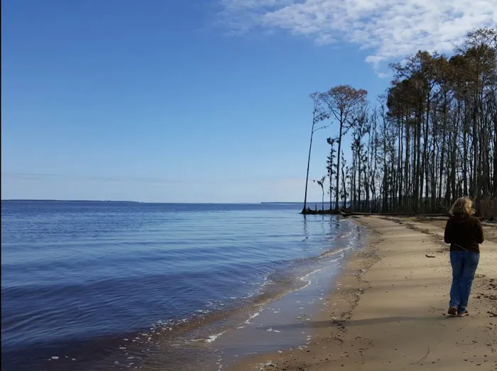 Goose Creek State Park Tent Campground 8