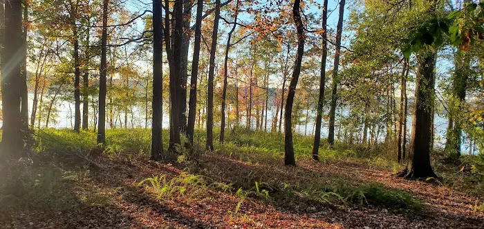 Rudds Creek Campground 7