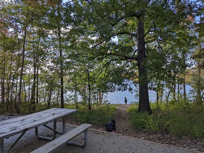 Rudds Creek Campground 4