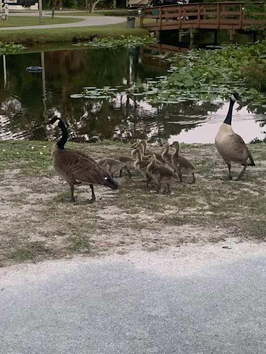 Whispering Pines RV Park & Campground 1