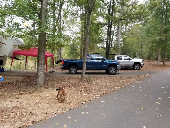 Forkland Campground 3