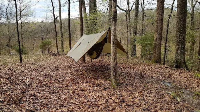Forkland Campground 9