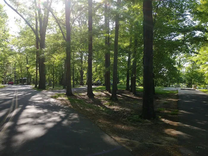 Forkland Campground 8