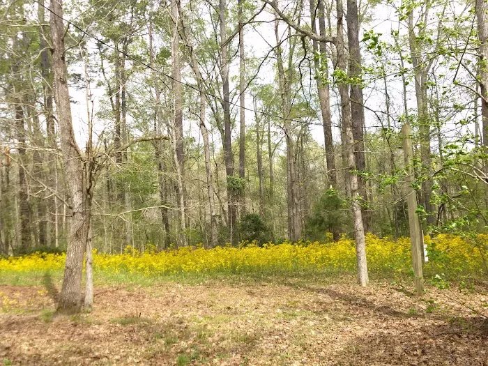 Forkland Campground 6