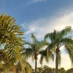 HERITAGE VILLAGE Master Units Home Owners Assocation