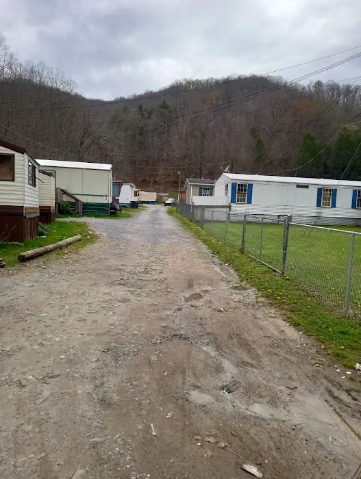 Shorts Trailer Park 5