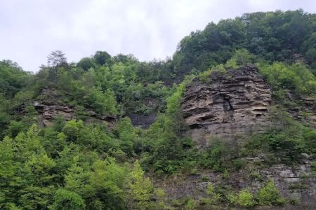 Guyandotte Campground