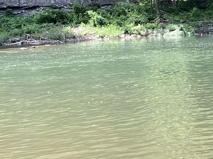 Guyandotte Campground 4