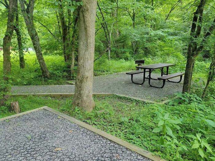 Army Camp Rd Campground 1