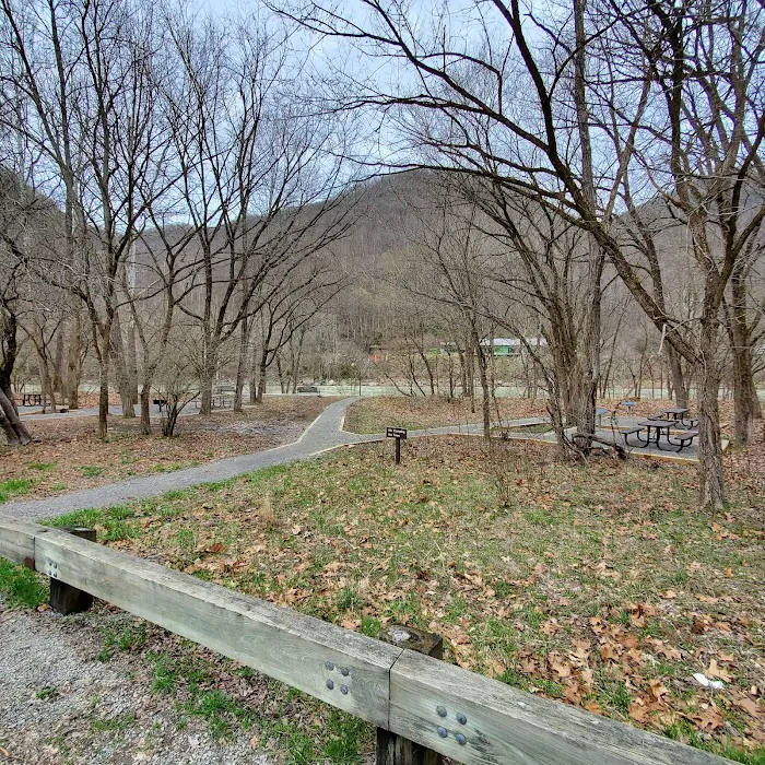 Army Camp Rd Campground 6
