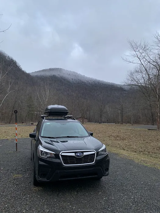 Army Camp Rd Campground 4