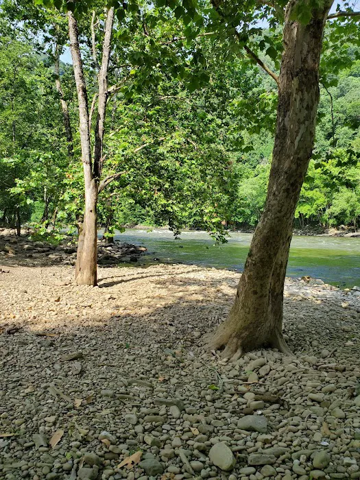 Army Camp Rd Campground 5