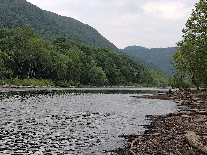 Army Camp Rd Campground 3