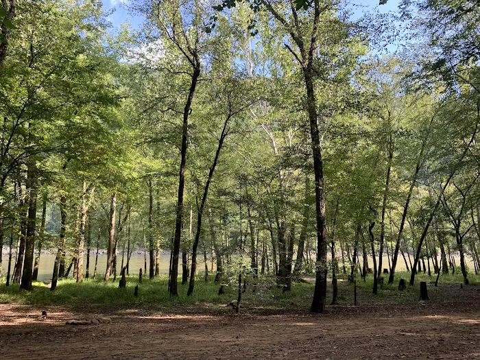 Glade Creek Campground 5