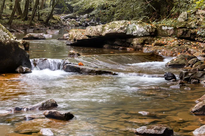 Glade Creek Campground 3