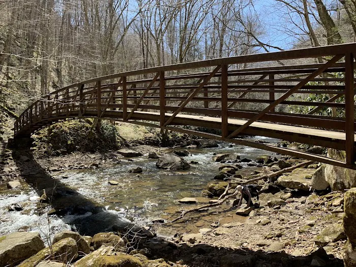 Glade Creek Campground 2