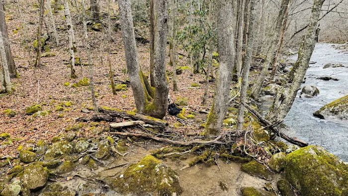 Glade Creek Campground 8