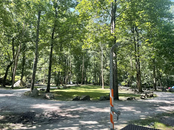 Grandview Sandbar Campground 5