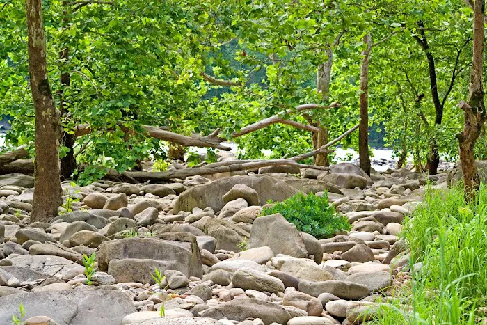 Grandview Sandbar Campground 6