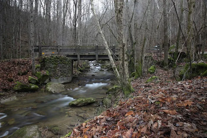 Grandview Sandbar Campground 10