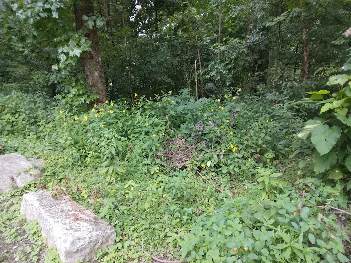 Thayer Campground 4