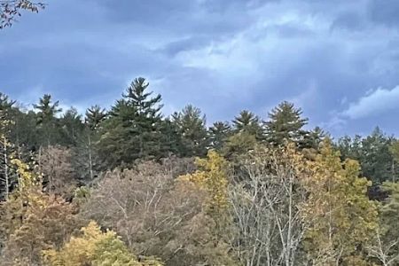 Peaceful River Campground