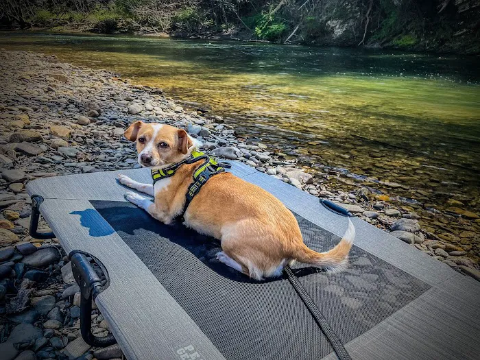 Peaceful River Campground 8