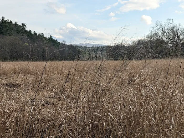 Hidden Valley Campground 8