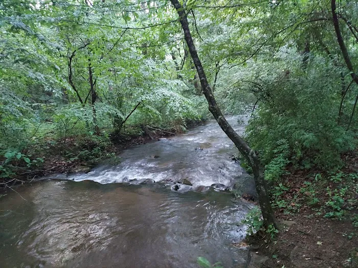 Oronoco Campground 2