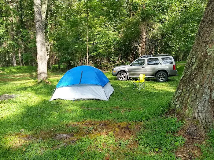 Oronoco Campground 3