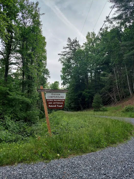 Oronoco Campground 5