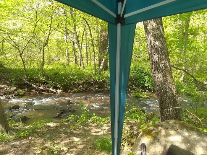 Oronoco Campground 9