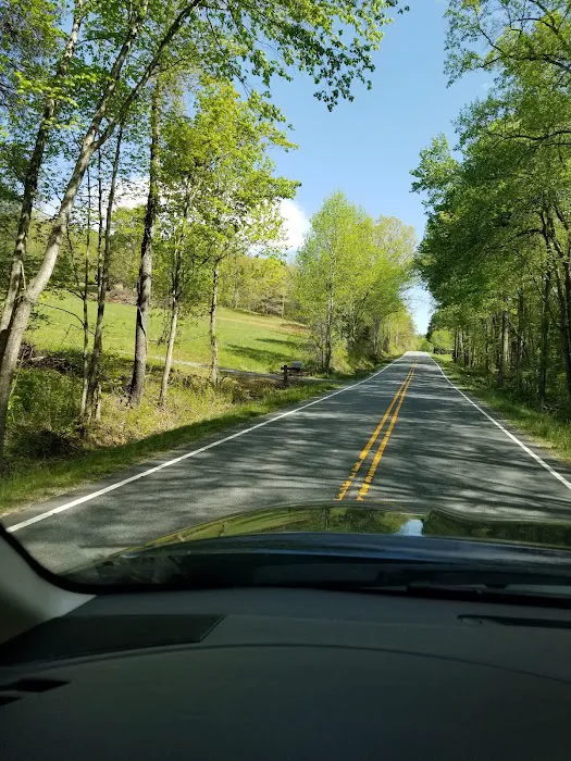 Camp Cove Creek 9