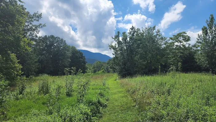 Devils Backbone Three Ridges Haven 4