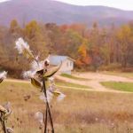 4 Mile Rock Meadows RV Camping