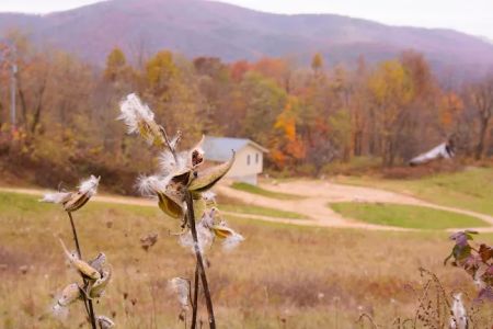 4 Mile Rock Meadows RV Camping