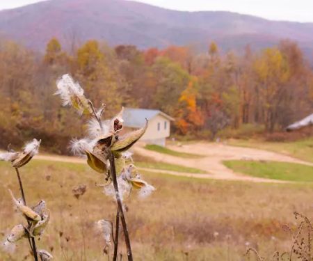 4 Mile Rock Meadows RV Camping