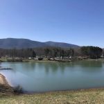 Stoney Creek Resort and Campground