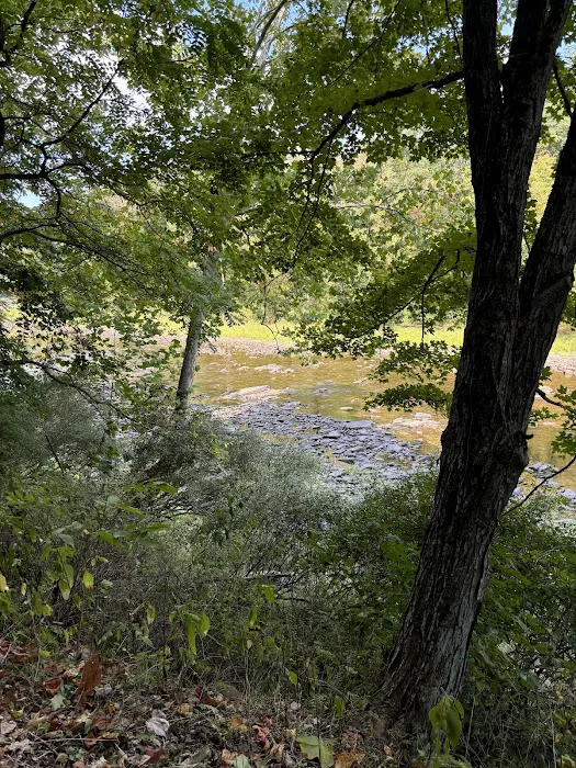 Marlinton Creek and Trail Campground 7