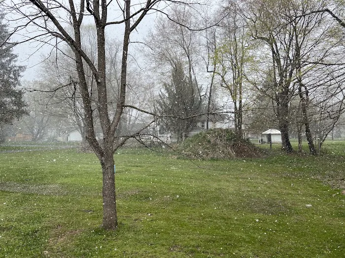 Marlinton Creek and Trail Campground 8