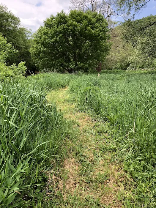 Marlinton Creek and Trail Campground 10