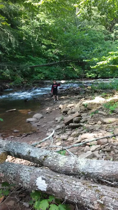Day Run Campground 2