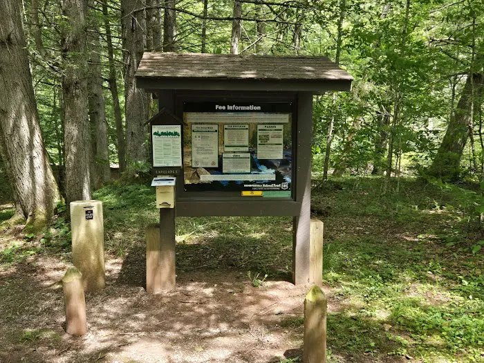 Day Run Campground 6