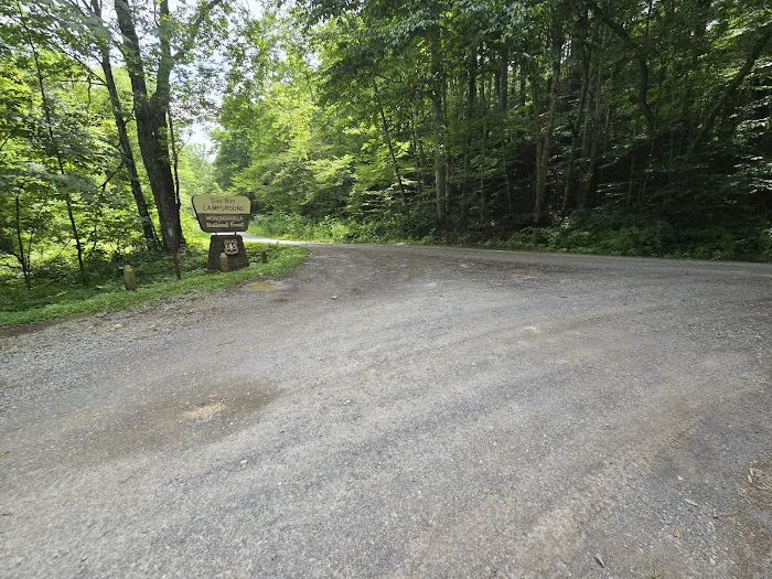 Day Run Campground 9